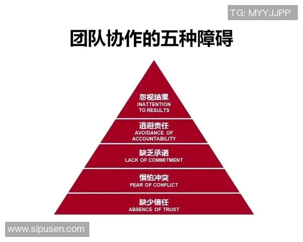 上海排球队的意识与团队协作探讨：提升竞技水平的新视角
