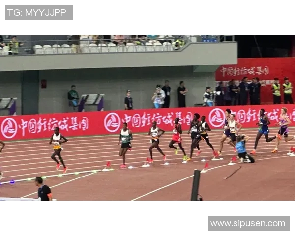 广州排球队在钻石联赛中的转型与挑战探索新篇章