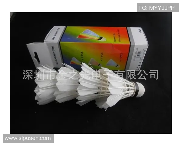 深圳羽毛球队近期状态分析与表现评估报告