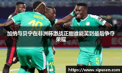 加纳与贝宁在非洲杯激战正酣谁能笑到最后争夺荣耀
